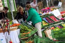 Vulkanlandmarkt 17.10.2014 15 Min
